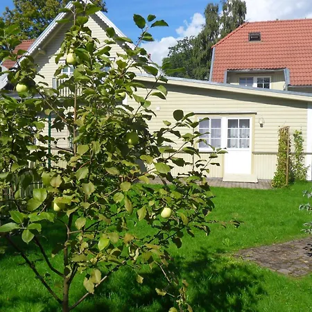 酒店 约翰别墅酒店 3*